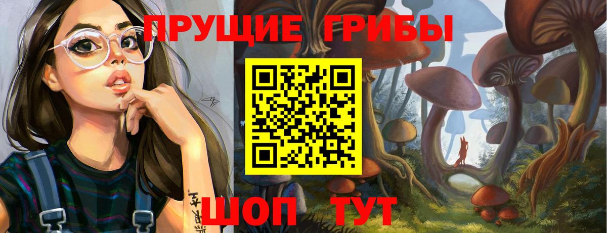 Гусев  Галлюциногенные грибы Psilocybine cubensis  Псилоцибиновые грибы Cubensis  Вход с VPN 